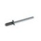 Blindniete Flachrundkopf 3,2 x 8 Alu/Stahl mausgrau RAL 7005